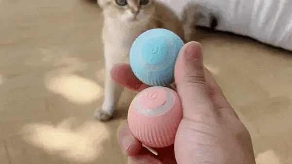 Smart Cat Ball Toys